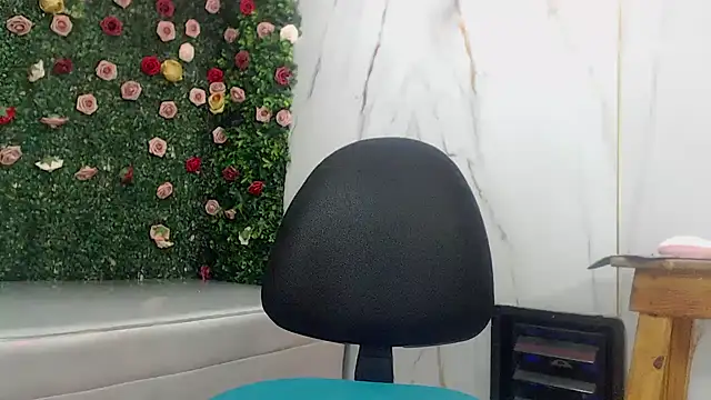 ManSant webcam