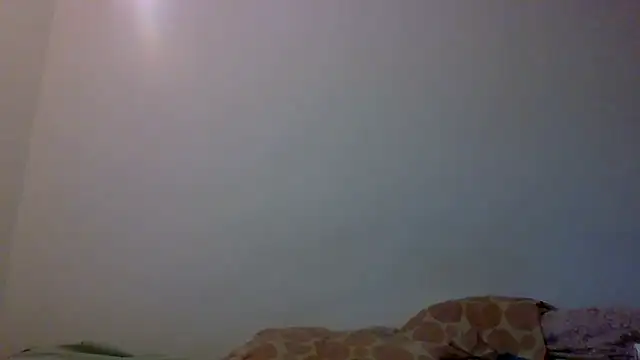 Kaappi1967 webcam