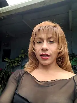 Modelo: Evehamp