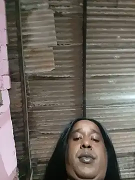 Hellentrans24 webcam