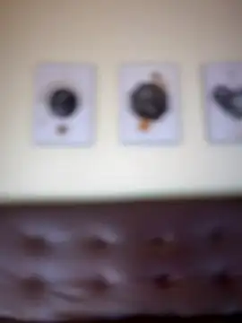 LeylaKnox webcam