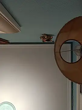 DanTrov79 webcam