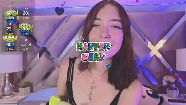 HarperrWest webcam
