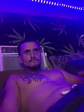 bugboy webcam