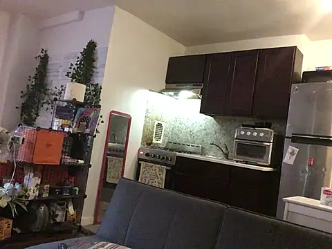 littyleesh1 webcam
