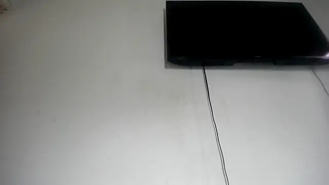 Fox_Loves