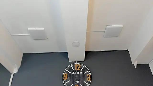 Robin_Rief webcam