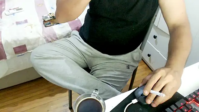 LiONTURK webcam