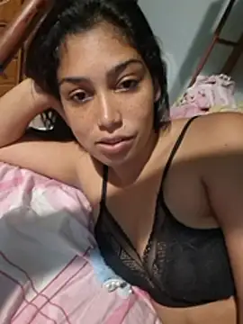 Putaalexa webcam