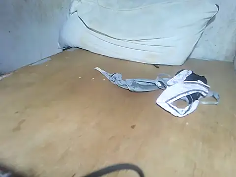 star_ass webcam