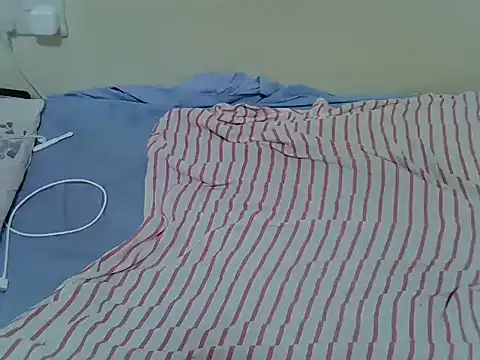 Twerl webcam