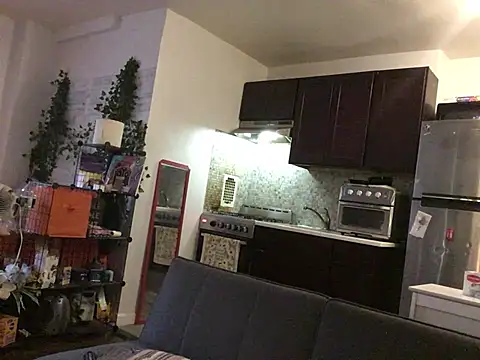 littyleesh1 webcam