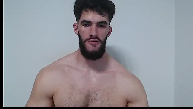 hiddenf webcam