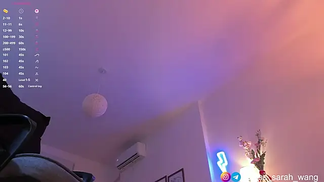 sarah_wang webcam