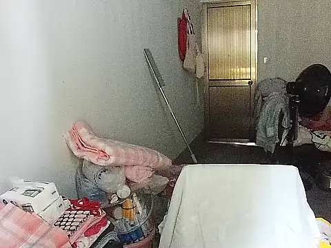 RebelAura webcam
