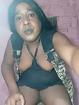 Hellentrans24 webcam