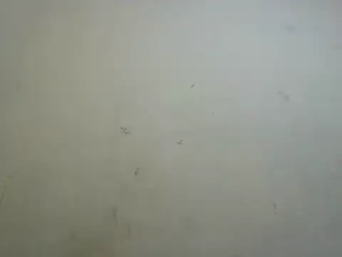 tencum webcam