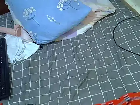 verl1 webcam