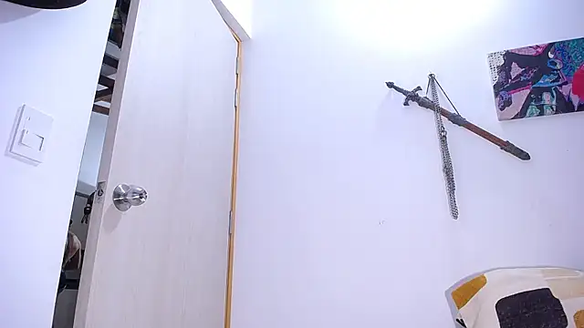 damn_fox webcam