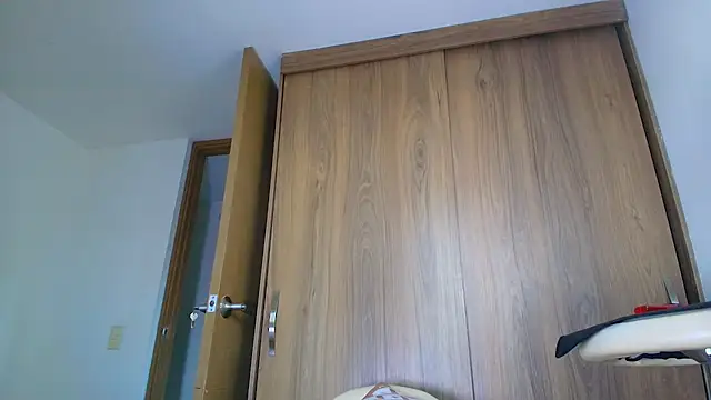 SARA_TS_FOX webcam