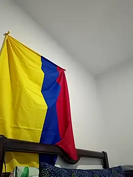 IrisBound webcam