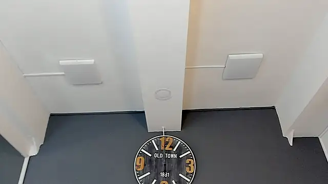 Robin_Rief webcam