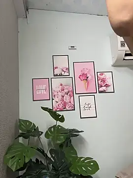 Nana-19 webcam