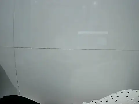 Ana_2023 webcam