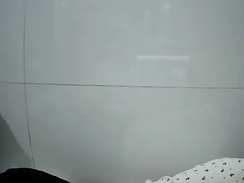 Ana_2023 webcam