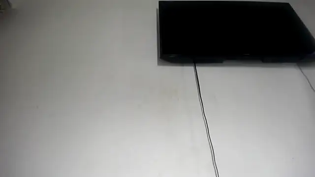 Fox_Loves