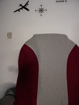 Sasha-firee webcam