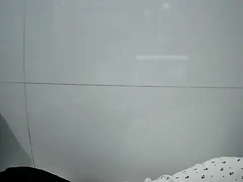 Ana_2023 webcam