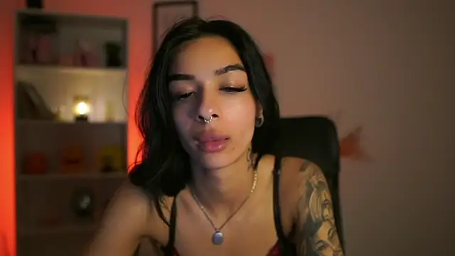 SisaBlue webcam