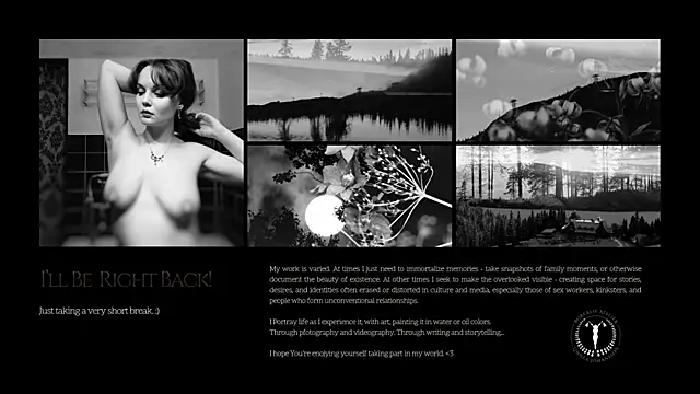 Borealisatelier webcam