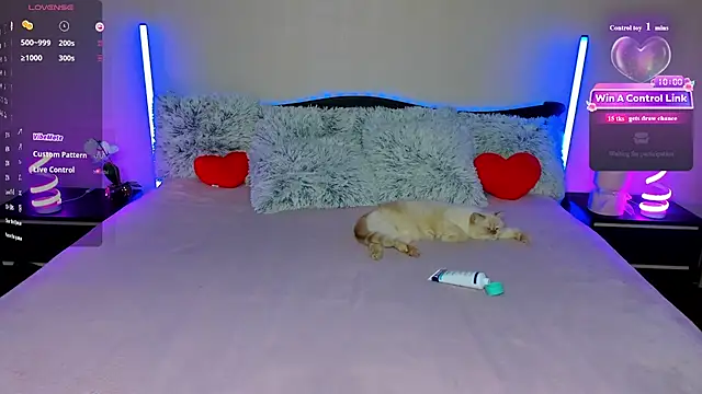 paradisaic_delight webcam