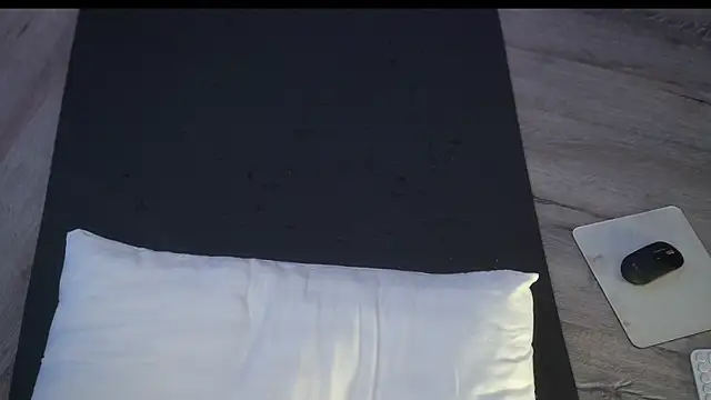Arte_Adelle webcam