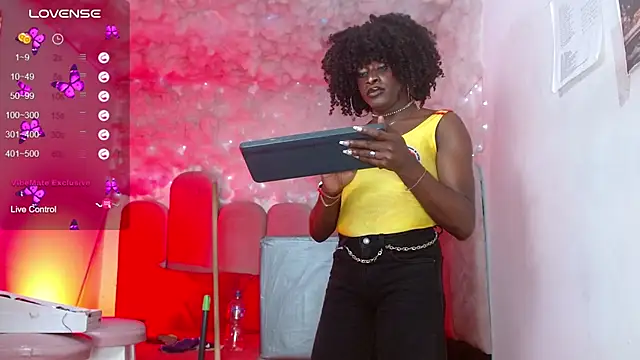puca_ebony webcam