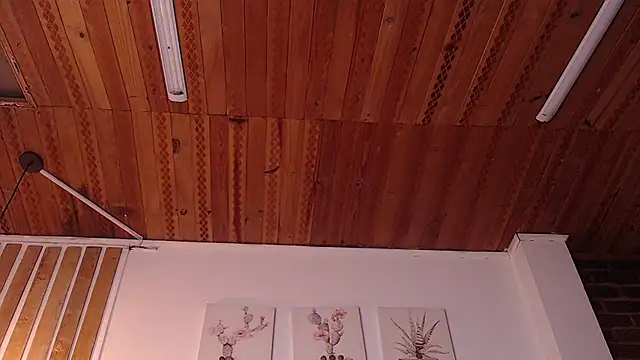 nikkystorm1_ webcam