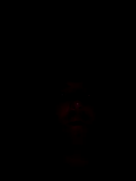 spaccaa webcam