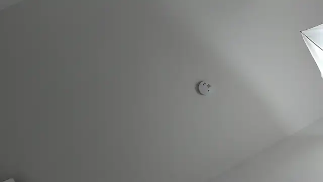 skysaenz webcam