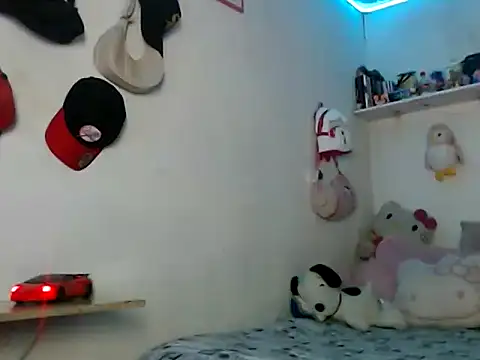 bunnyfoxxd webcam