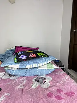 sandylau webcam