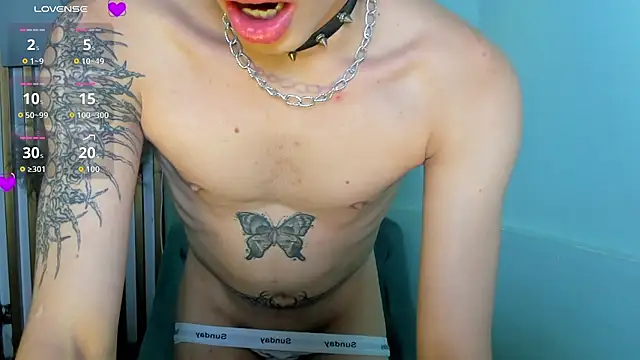 AndyWiilliams webcam