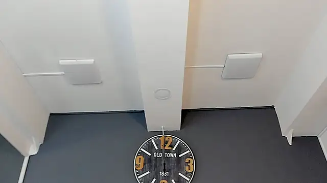 Robin_Rief webcam