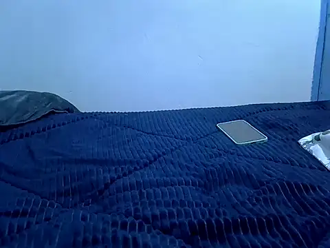 Lutyie webcam