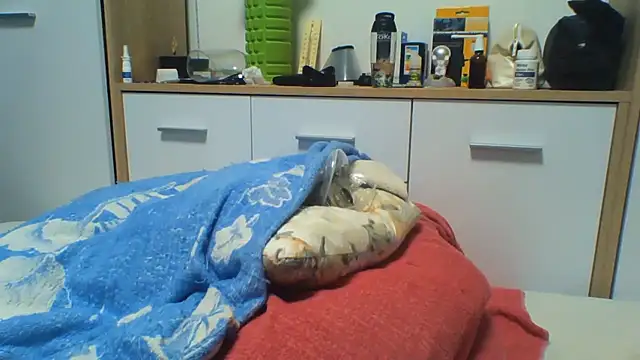 KaelNox webcam