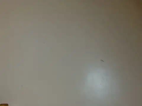 luzrem webcam