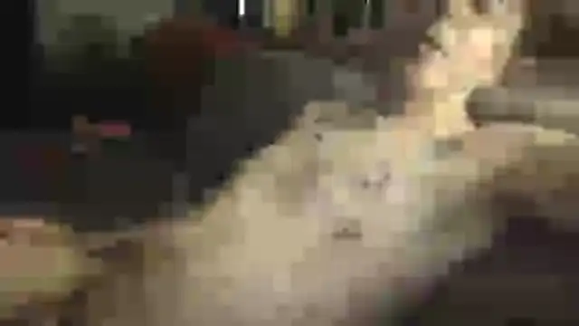 SHARPSkinhead live cam on StripChat