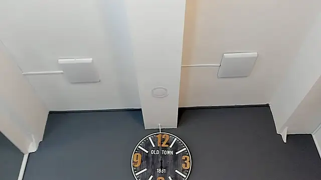 Robin_Rief webcam