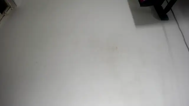Fox_Loves webcam